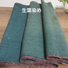 Item thumbnail for item 2a5c5d45-7034-4748-858d-7695f01fcee1