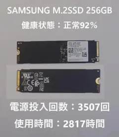 SAMSUNG M.2SSD NVMe 256GB 使用時間2817時間