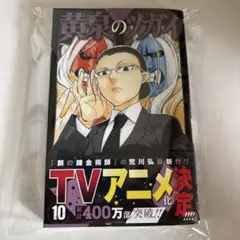 黄泉のツガイ(10)