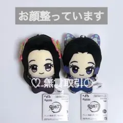 鬼滅の刃 無限城 胡蝶カナエ 胡蝶しのぶ ちびぐるみ ぬいぐるみ vol.5 f