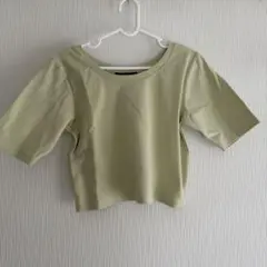 kastane 短丈Tシャツ グリーン