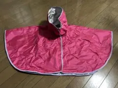 Item thumbnail for item 05dcc491-57f9-4890-bc55-0c2ac2b60520