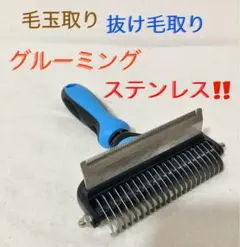 Item thumbnail for item 3f2275bb-d53e-466c-acc0-30cd30ae4ba9