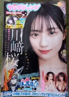 週刊ヤングジャンプ 33号