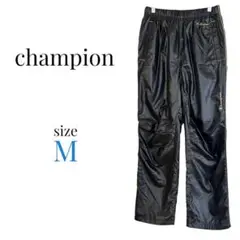 Item thumbnail for item 424497b7-99e8-4493-ab82-c5dd1913c830