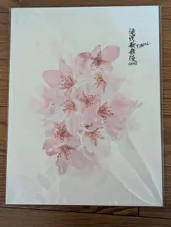 滝沢歌舞伎ZERO FINAL パンフレット