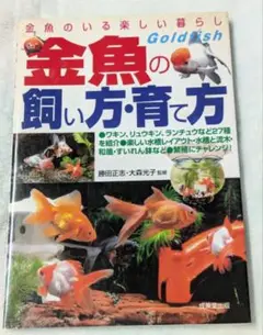 No.58【7:1-4】金魚の飼い方・育て方