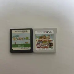 おいでよどうぶつの森 ハッピーホームデザイナー 2本セット