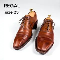【良品】REGAL リーガル〈02AR〉ストレートチップ（25）ビジネスシューズ