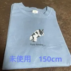 デビロック　tシャツ　150cm 半袖　未使用