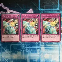 ドレインシールド　ノーマル3枚セット