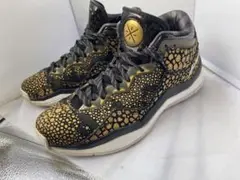 リーニング ウェイド3 元NBA選手ドウェイン ウェイド シグ二チャーモデル