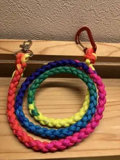 Item thumbnail for item dfb0857a-1fd0-4e3d-9c6c-2f9cf351a601