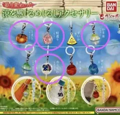 涼を感じるめじるしアクセサリー4種セット