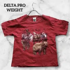 Item thumbnail for item d9db8f53-ed6e-43ae-b480-cf9a0138c1d7