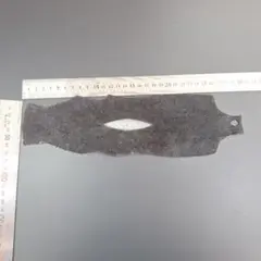 スティングレー(エイ革)①