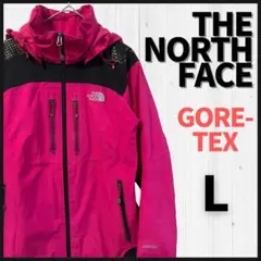 【希少品！】THE NORTH FACE　マウンテンパーカー　L　ゴアテックス