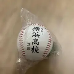 校名ボール　横浜高校