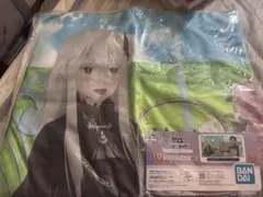 Reゼロ マイクロファイバータオル エキドナ スバル 未開封
