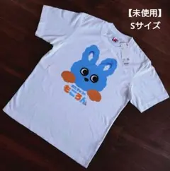 小田急　もころん　アクリルスタンド　シークレット2種コンプリート　全7個セット 小田急電鉄 もころん アクリルスタンド 第2弾 A-7 シークレット