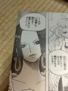 週刊少年ジャンプ　2008年　44号　ワンピース　尾田栄一郎　ハンコック　初登場