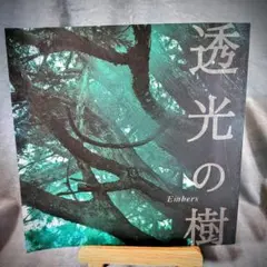 透光の樹　DVD セル版　秋吉久美子　永島敏行 Amazon.co.jp: 透光の樹 [DVD] : 秋吉久美子, 永島敏行, 高橋