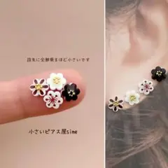 Item thumbnail for item 4e6ab458-1ffc-49e7-83d1-3bb19ddaedea