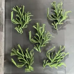 アルギュ　ヴィトラ　Algue vitra 白 50本セット Aluge（アルギュ）/Vitra（ヴィトラ）/Ronan & Erwan Bouroullec