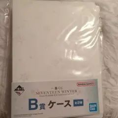 SEVENTEEN 一番くじ B賞 ファイルケース