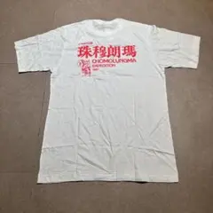 チョモランマ　エベレスト　Tシャツ　半袖　白　ホワイト　80’s　漢字　L