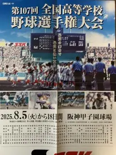 高校野球ポスター　非売品　折って発送いたします。輸送時の折れスレ有ります。