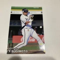 2023 カルビー 杉本裕太郎 99