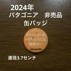 レア！パタゴニア　缶バッジ
