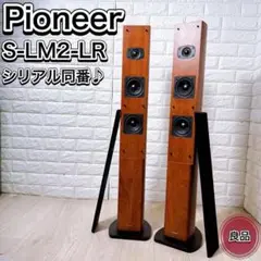 2025年最新】S-LM2 PIONEERの人気アイテム - メルカリ