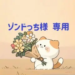 ゾンドっち様　専用(8/27迄)