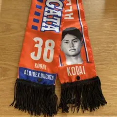 アルビレックス新潟ガラポン　 プレイヤーズミニスカーフ　#38 森 昴大