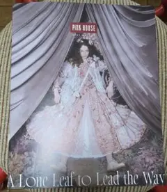 Item thumbnail for item 20209cca-abe2-4c7d-8d63-e6d87ae30a56