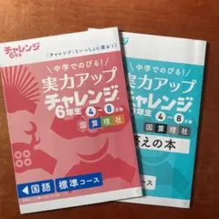 進研ゼミ実力アップチャレンジ6年生 4月〜8月