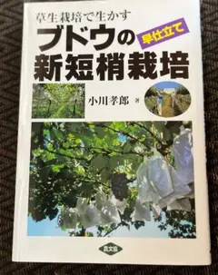 草生栽培で生かすブドウの早仕立て新短梢栽培