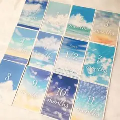 月齢誕生日カード　just born ポストカード　16枚　空　白文字　かわいい
