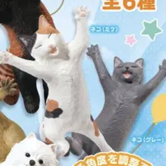 ハッピー★ジャンプ！ アニマル　ネコ　グレーとミケ