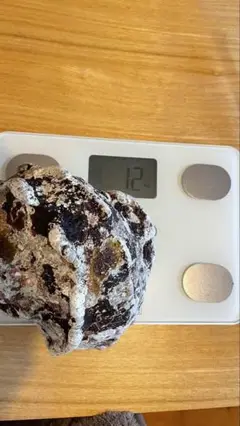 夜光貝　貝　1.2kg
