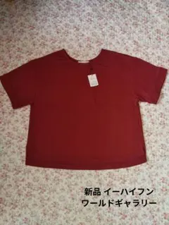 新品イーハイフンワールドギャラリー ロールアップ袖ボックスTシャツカットソー