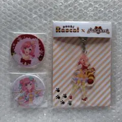 プリリズ　なる　グッズセット