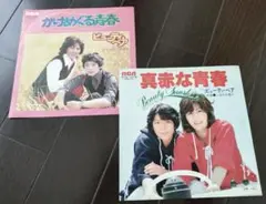ビューティ・ペア 真赤な青春('77東映) ビューティ・ペア 真赤な青春('77東映)