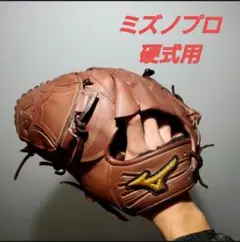硬åŒçš ããºããã ãã£ã³ã¬ãŒã³ã¢ãã¯ãããžãŒ ãææçšã ã·ã§ãããªãŒããŒéå®