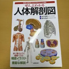 ぜんぶわかる人体解剖図 系統別・部位別にわかりやすくビジュアル解説