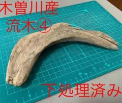 ★流木④★木曽川産 下処理済み アク抜き済 インテリア 水槽 観賞用 飾りに