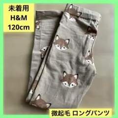 Item thumbnail for item 3cd51c48-7193-4acb-b563-120871801524