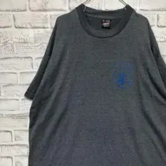 USA製90sヴィンテージTシャツ！シングルステッチ　グレー半袖古着　2XL23